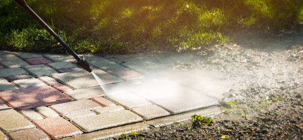 Best Animal Enclosure Cleaning  in East Hazel Crest, IL